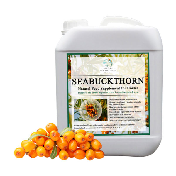 SeaBuckthorn-Supplement-for-Horses