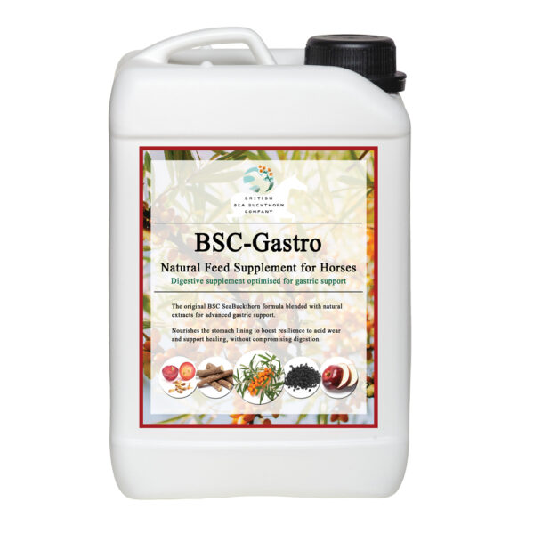 bsc gastro gastric supplement for horses