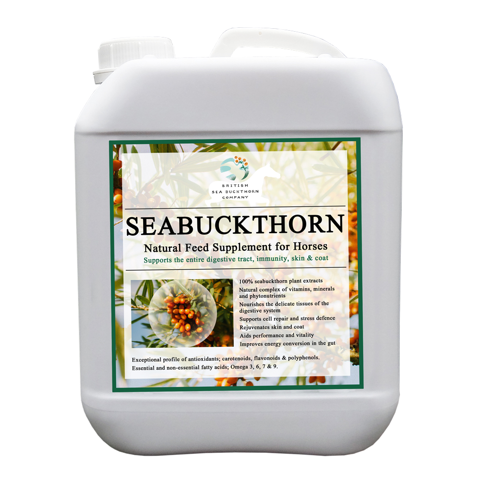 BSC SeaBuckthorn for Horses digestive immunity skin and coat supplement
