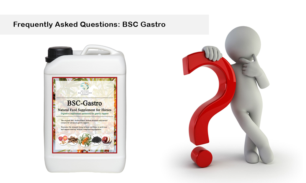 bsc gastro frequently asked questions