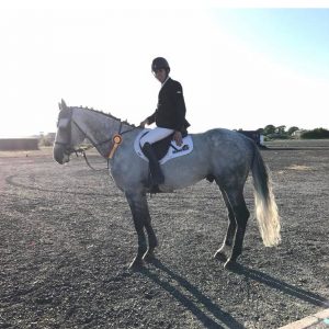 MAH Horse Calmer_Review_Debbie Cherry